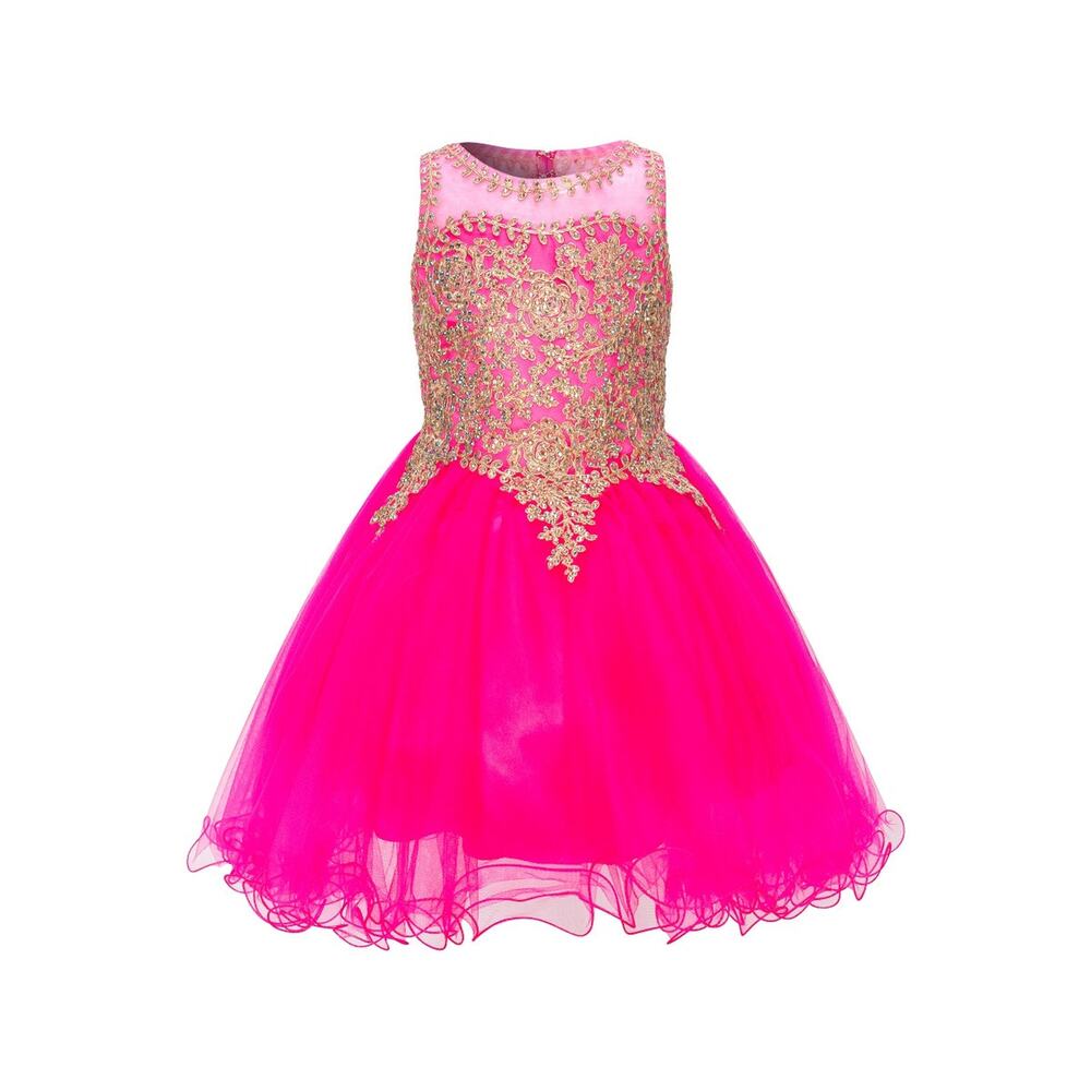 Hot Pink and Gold Embroidered Sleeveless Aline Tulle Homecoming Dress
